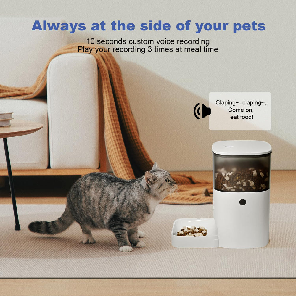 ANDOLL HOME tilted feeding bowl at 8-degree angle for comfortable eating.