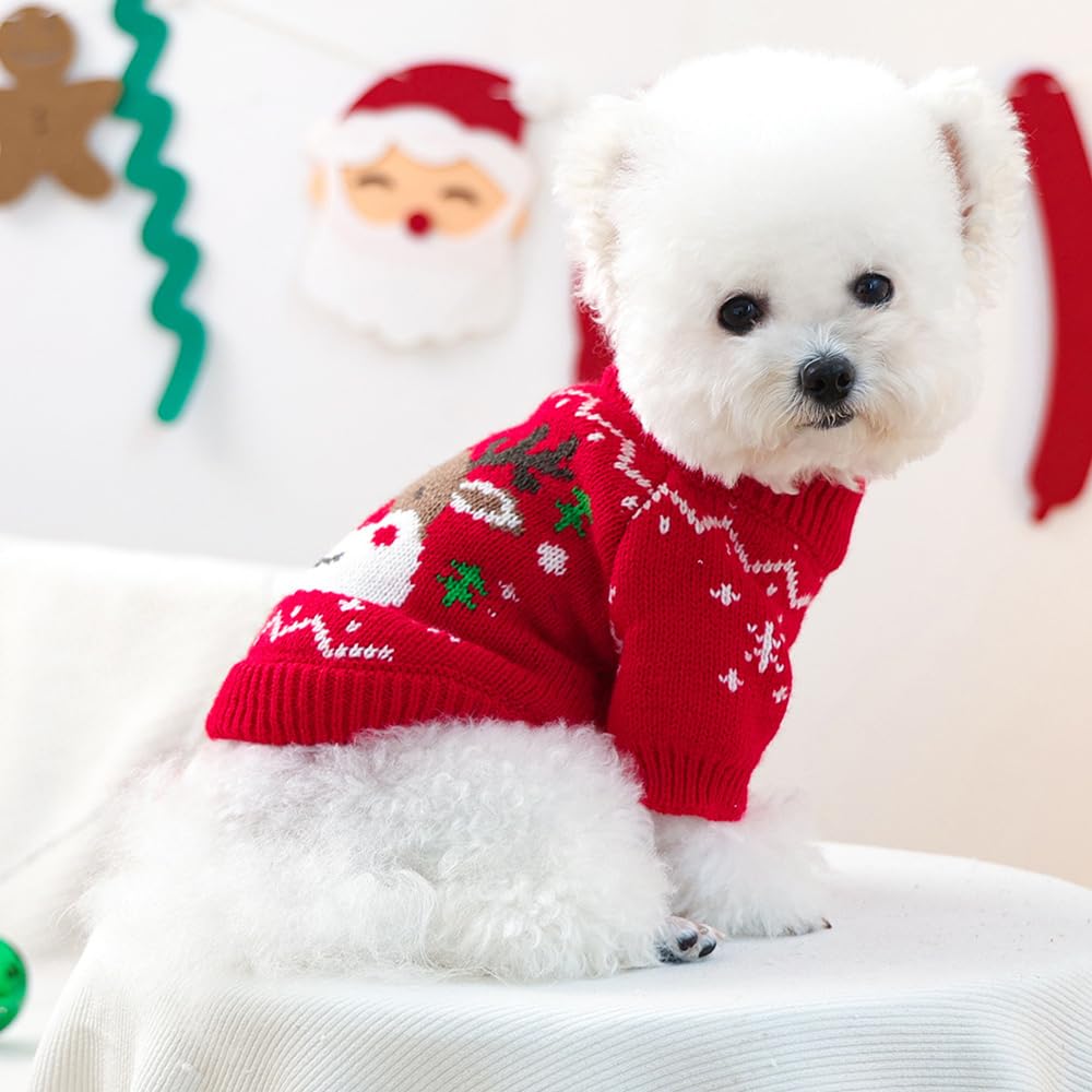 Anelekor Santa outfit on dog in red knitwear for festive look