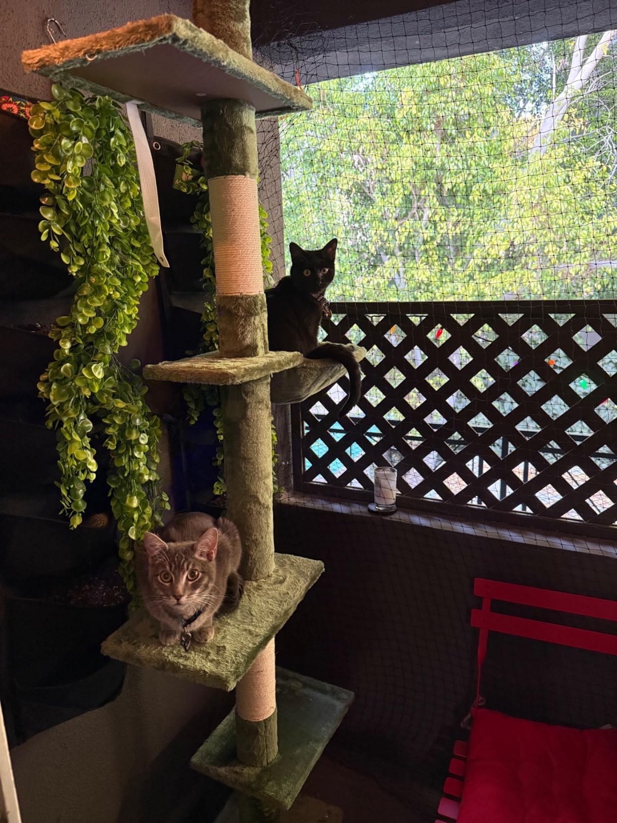 AnExer cat balcony net protecting pets and plants outdoors.