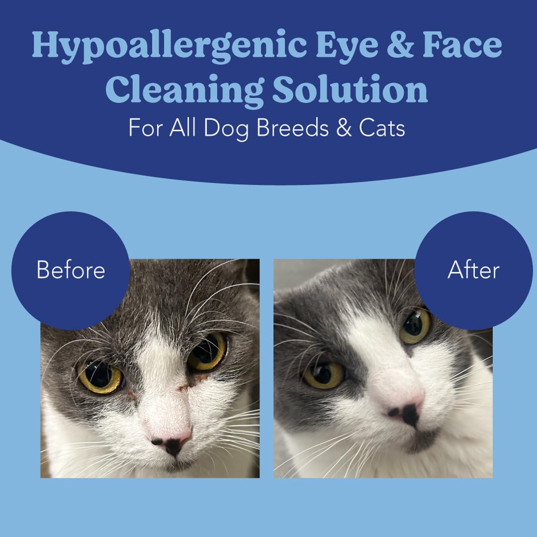 ANGELS' EYES hypoallergenic aloe chamomile formula wipes soothe around eyes