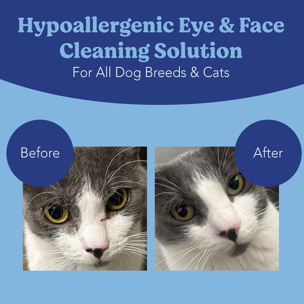 ANGELS' EYES hypoallergenic aloe chamomile formula wipes soothe around eyes