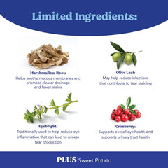 Angels' Eyes Natural Plus powder with scoop for precise daily servings