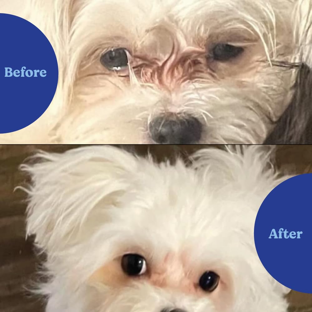ANGELS' EYES Natural tear-stain chews close-up reveals texture and appealing color for picky pets.
