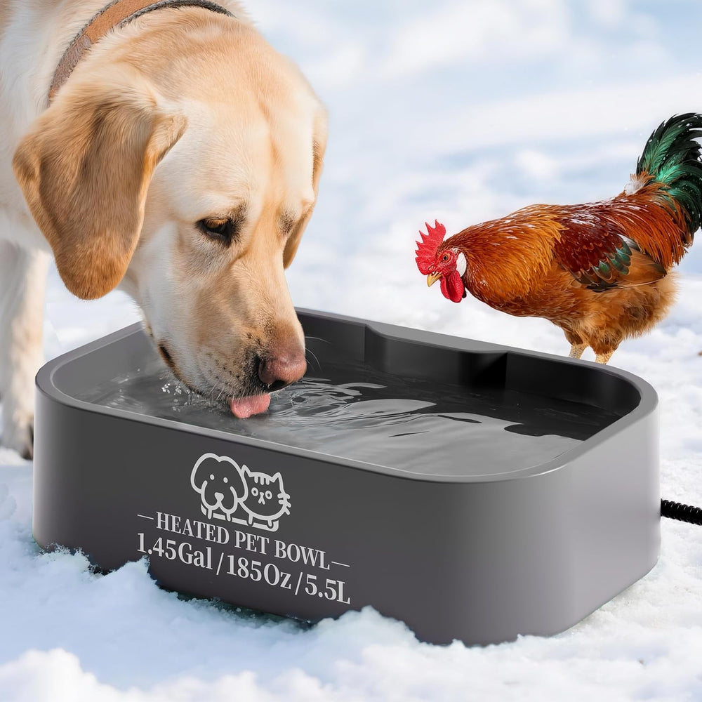 Angelspet outdoor heated water bowl front view for winter hydration
