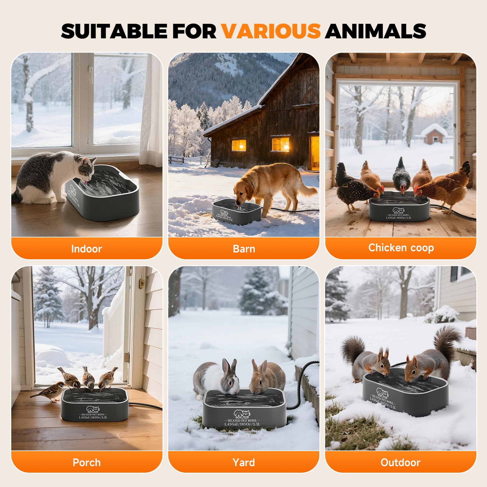 Angelspet outdoor-use image shows versatile placement for dogs, cats, and chickens