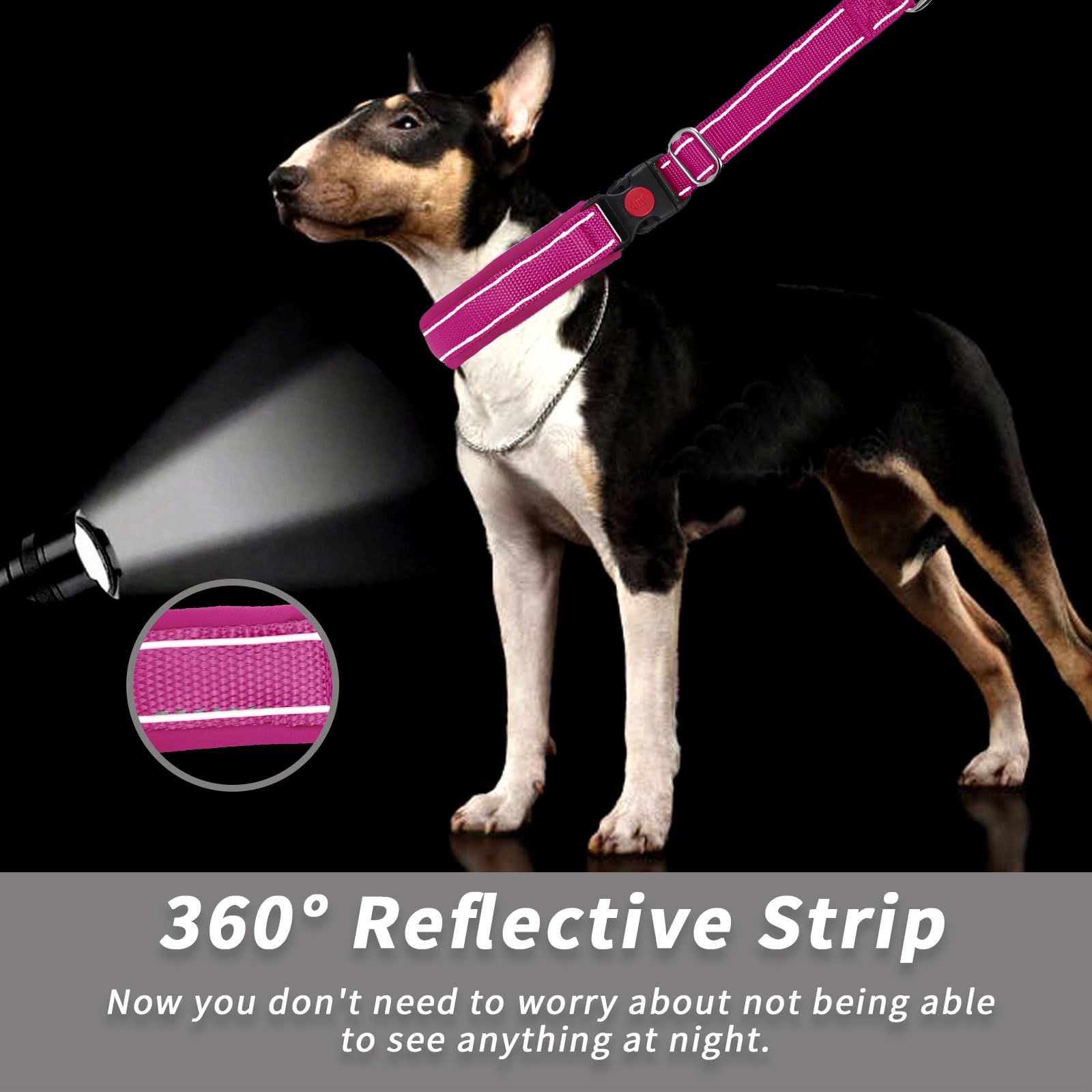 Anglevate collar on dog during walk demonstrates practical training and quiet walking use.
