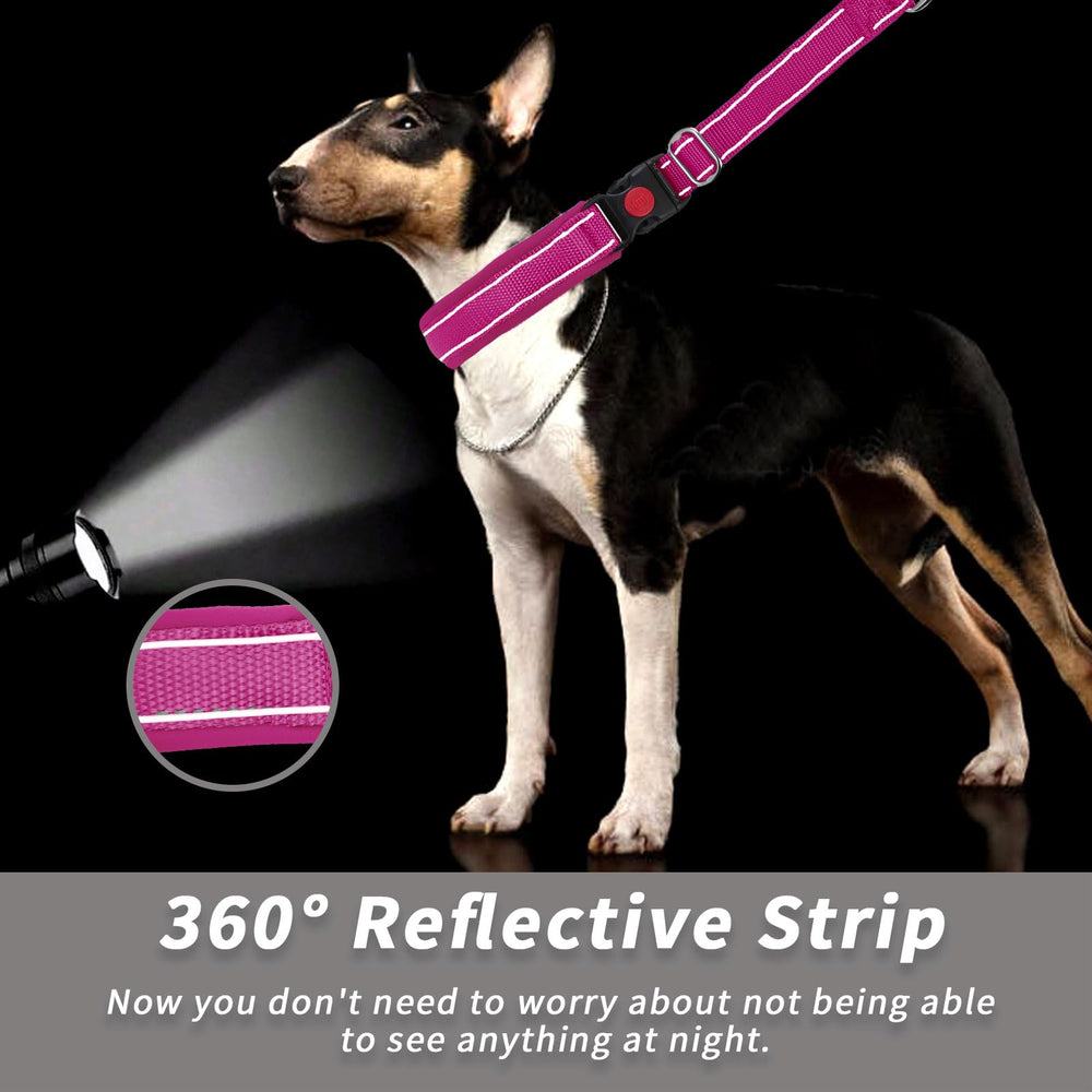 Anglevate collar on dog during walk demonstrates practical training and quiet walking use.
