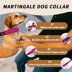 Anglevate collar with reflective strips glows at night for safer evening walks.
