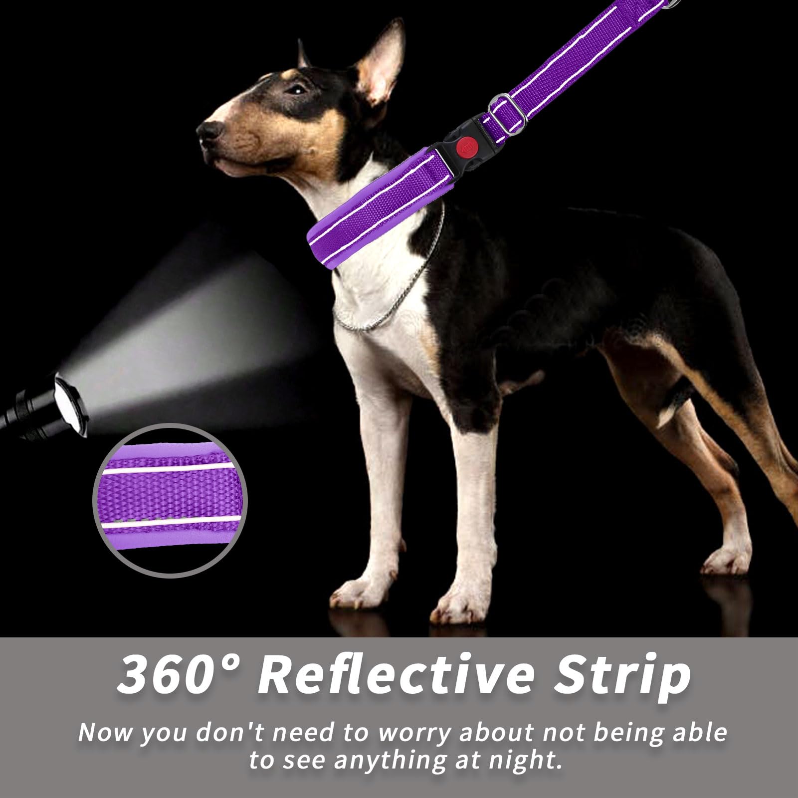 Anglevate Martingale Collar packaging highlights brand and value.