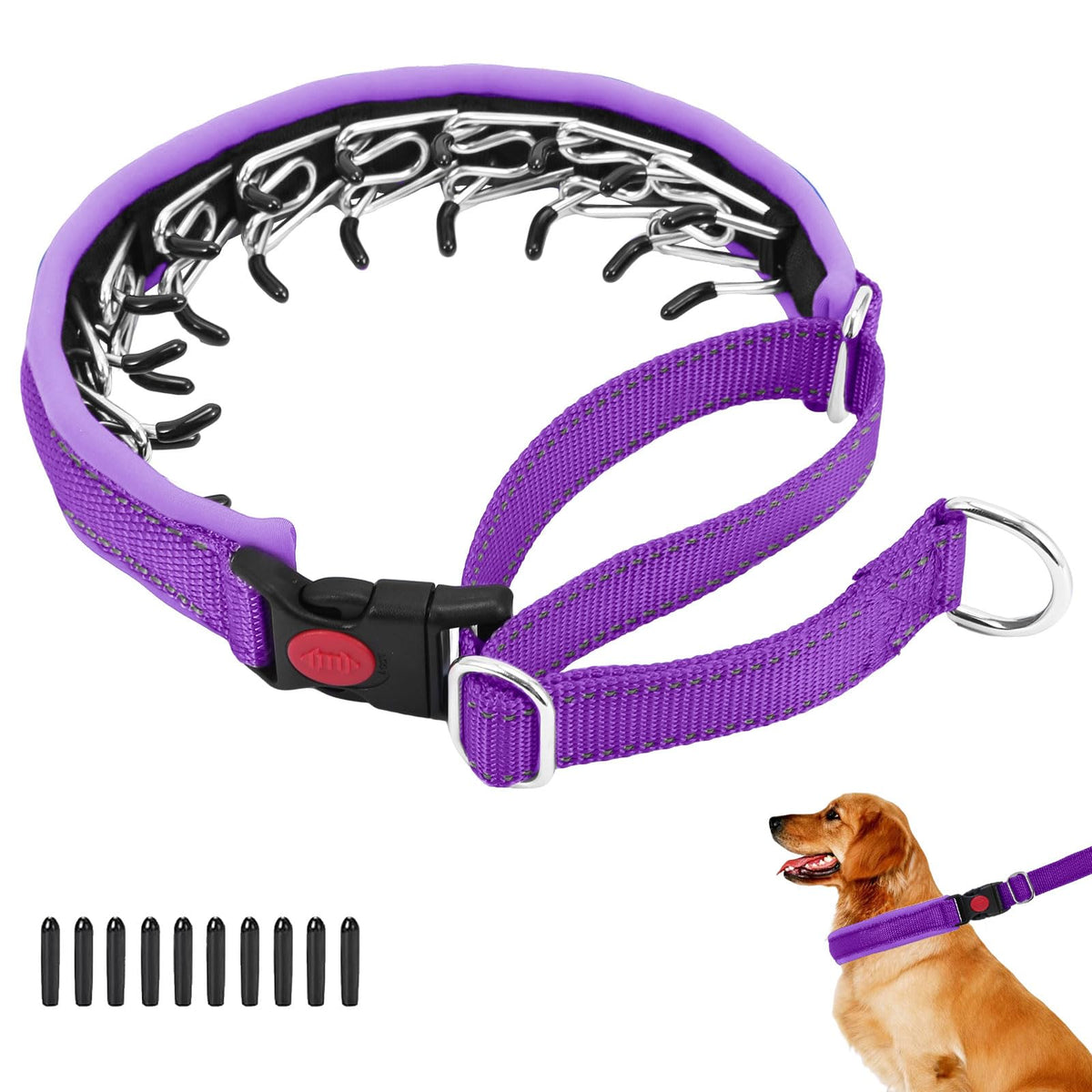 Anglevate Martingale Collar side view shows durable nylon and quick-release buckle for easy on/off during walks.