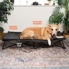 Angora Brands easy-assembly-pet-bed-setup quick setup and simple maintenance.