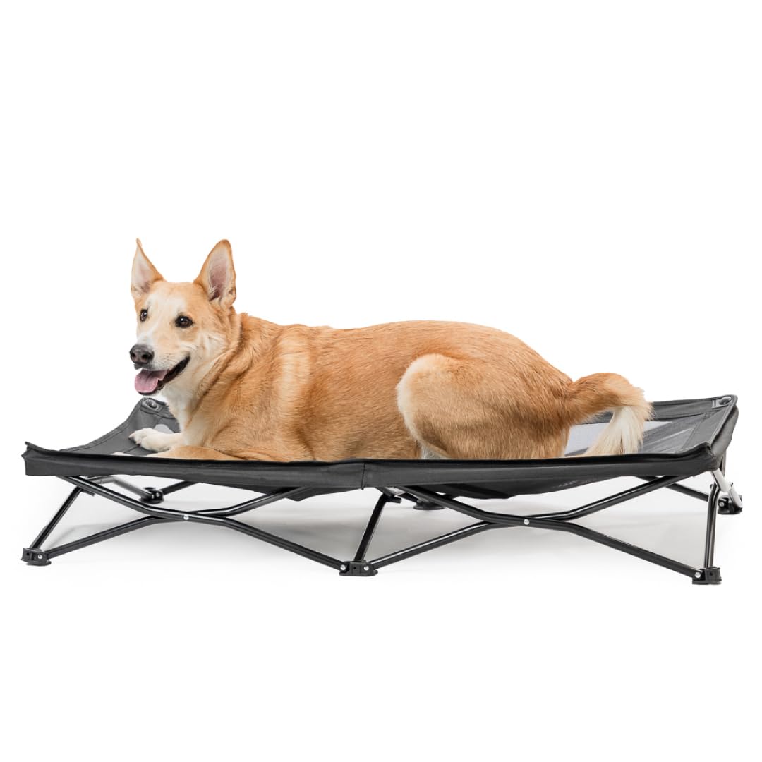 Angora Brands Raised Puppy Bed outdoor view demonstrates elevated comfort for pets outdoors.