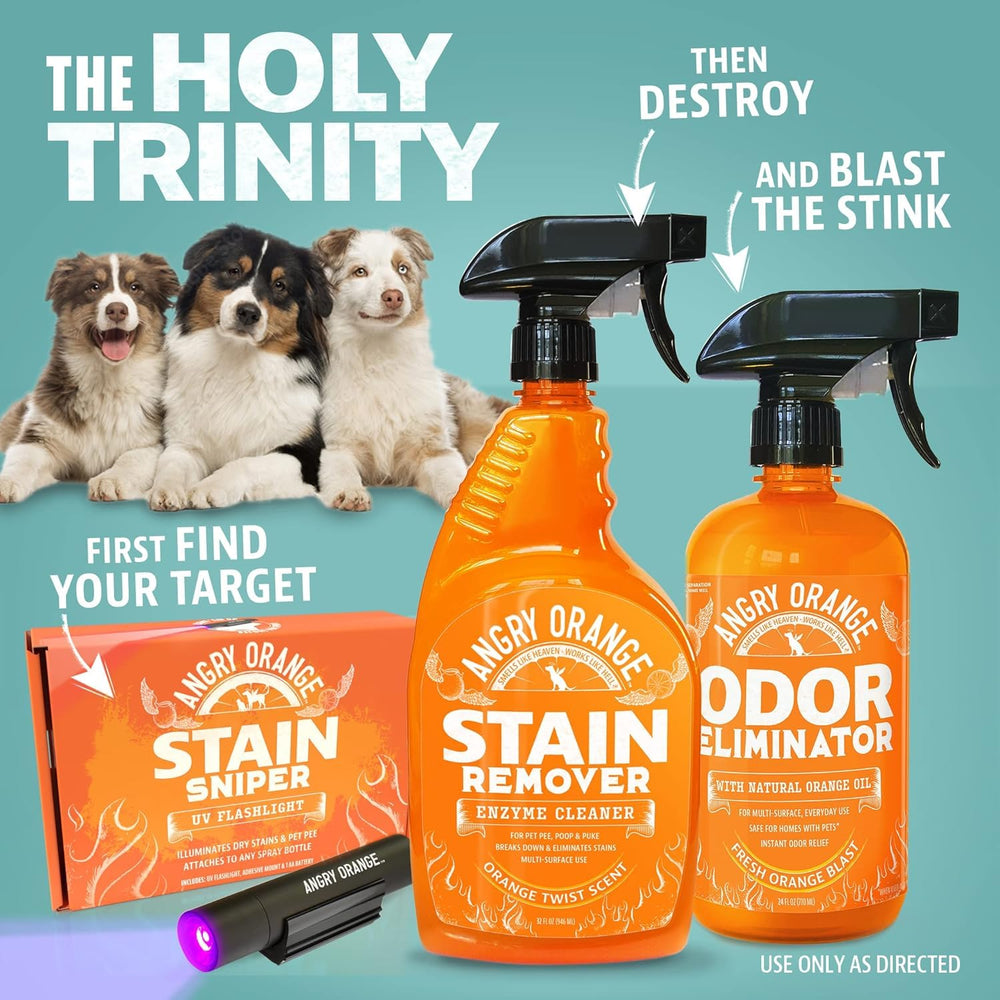 ANGRY ORANGE carpet odor elimination demo shows stain removal capabilities