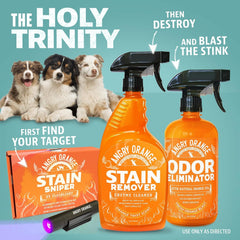 ANGRY ORANGE carpet odor elimination demo shows stain removal capabilities