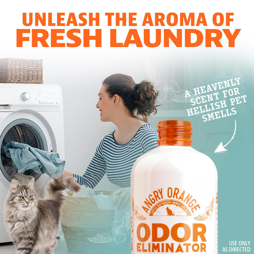 ANGRY ORANGE dog-urine-removal showcases strong smells addressed effectively