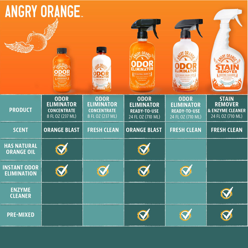 ANGRY ORANGE multi-pet-home-use illustrates versatile cleaning across spaces