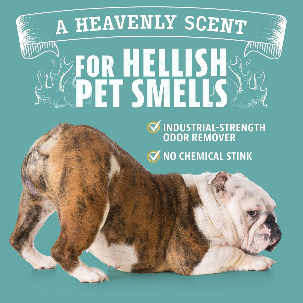 ANGRY ORANGE citrus scent visual emphasizes fresh fragrance