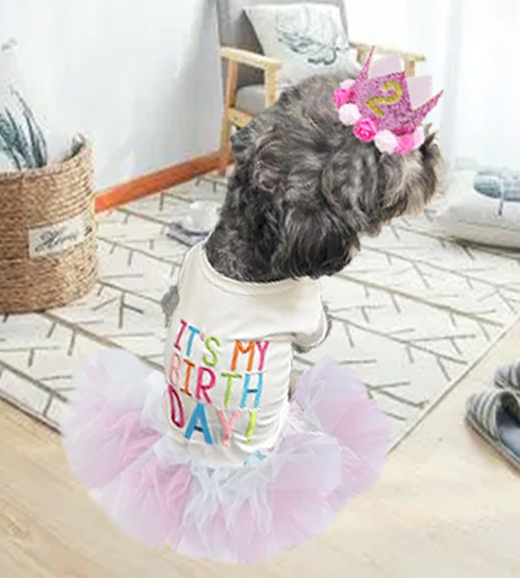 ANIAC birthday set includes dress and crown hat, ideal for reusable yearly celebrations.