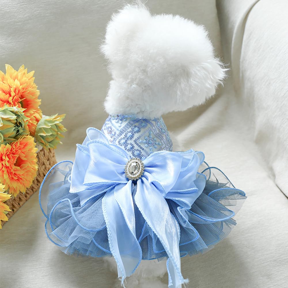 ANIAC blue dress highlights layered tulle skirt for a princess-inspired look.
