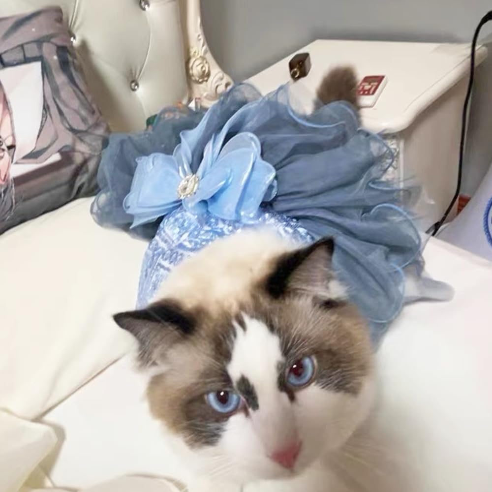 ANIAC blue cat wedding dress size measurement helps ensure a proper fit