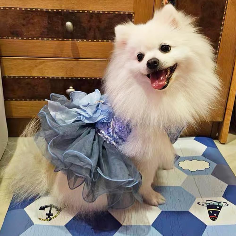 ANIAC blue cat wedding dress wear-ready for events and portraits