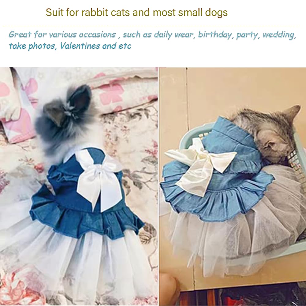 ANIAC Blue Denim Dress on pet showcases stylish daytime wear