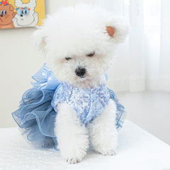 ANIAC blue dog wedding outfit shows layered tulle skirt for a princess look