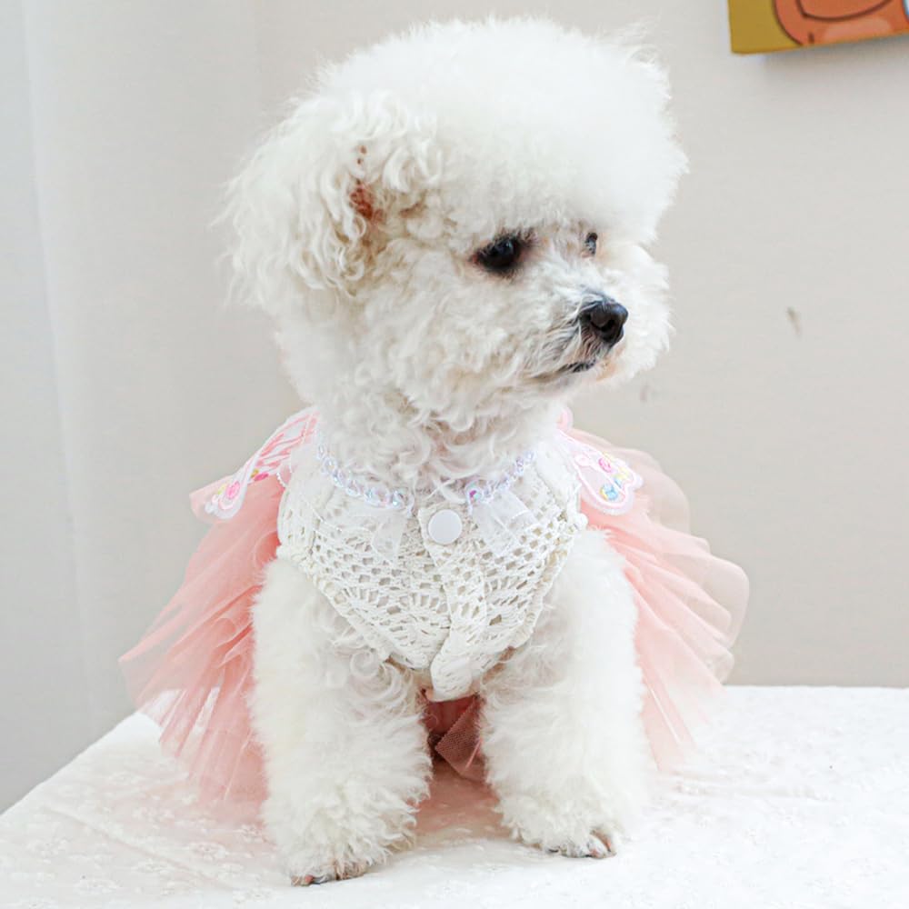 ANIAC Butterfly Dress packaging, gift-ready presentation for pet lovers.