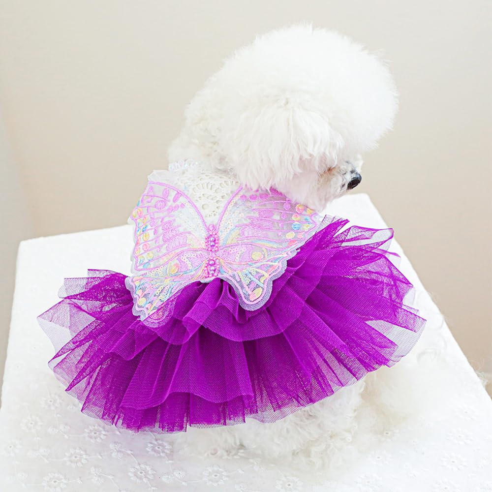 ANIAC Purple tutu dress ideal for park walks and cute photos