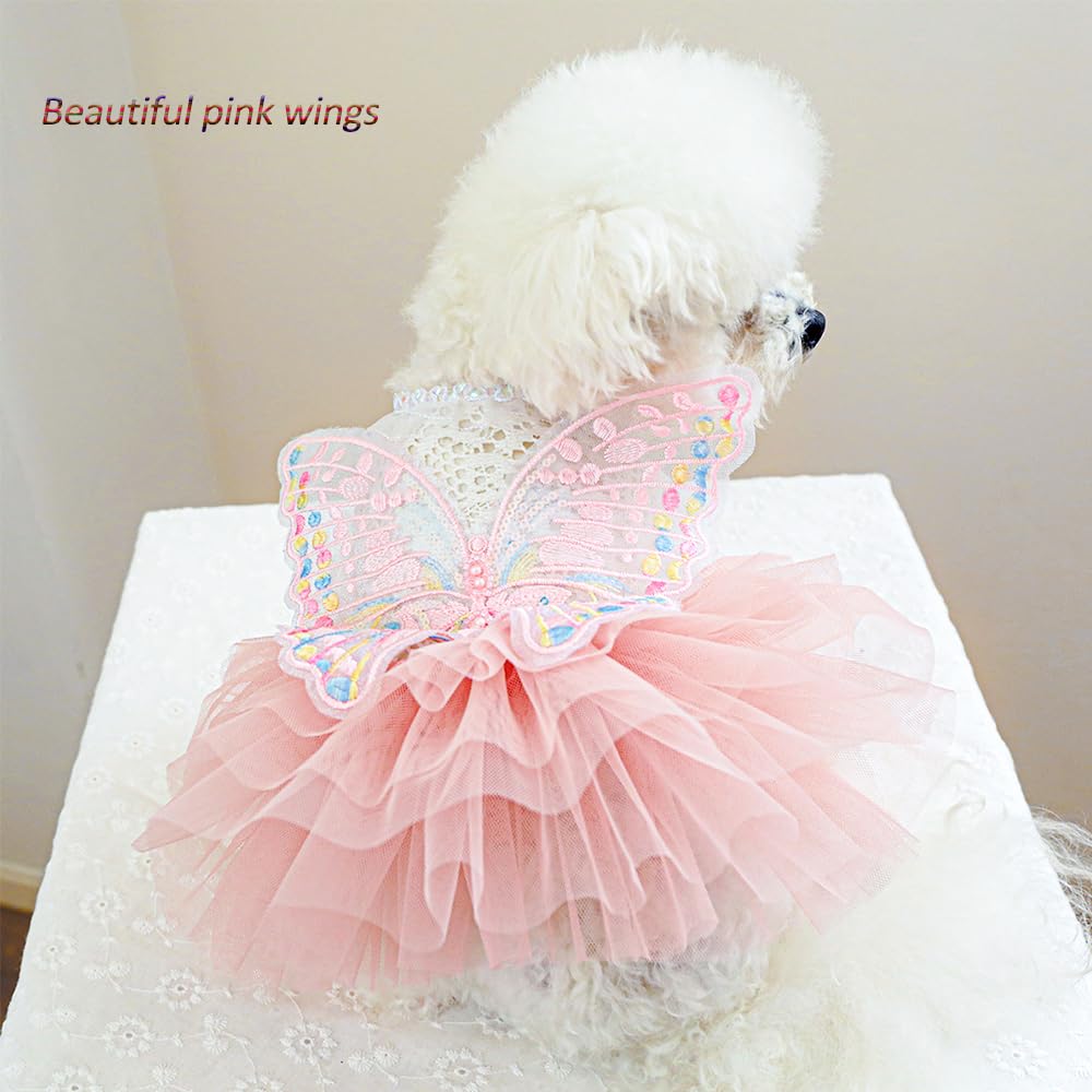 ANIAC butterfly wings embroidery on dress with pearl accents for festive looks.
