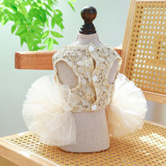 ANIAC cat outfit dress suitable for daily wear and cute photos.