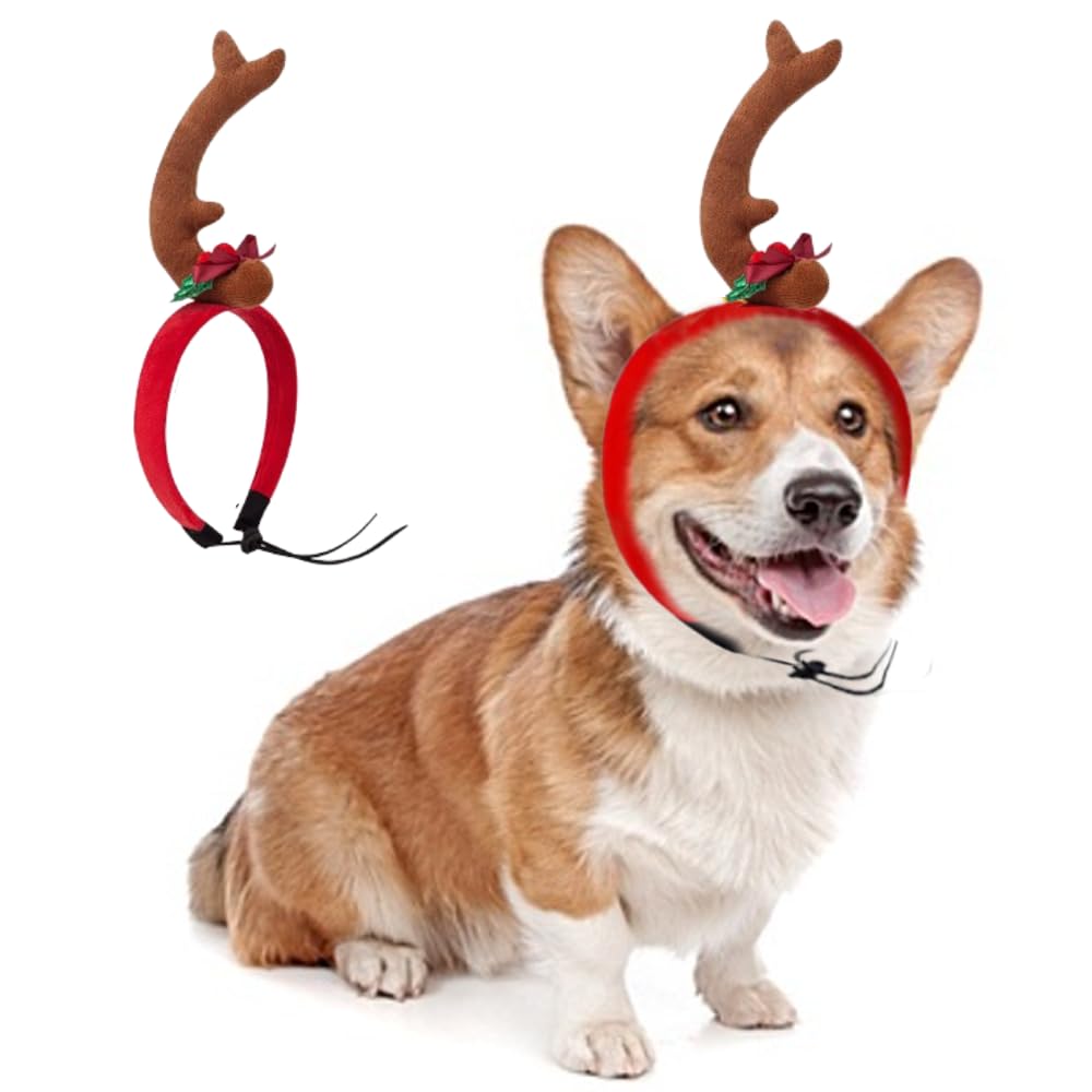 ANIAC dog antlers headband front view for festive photos