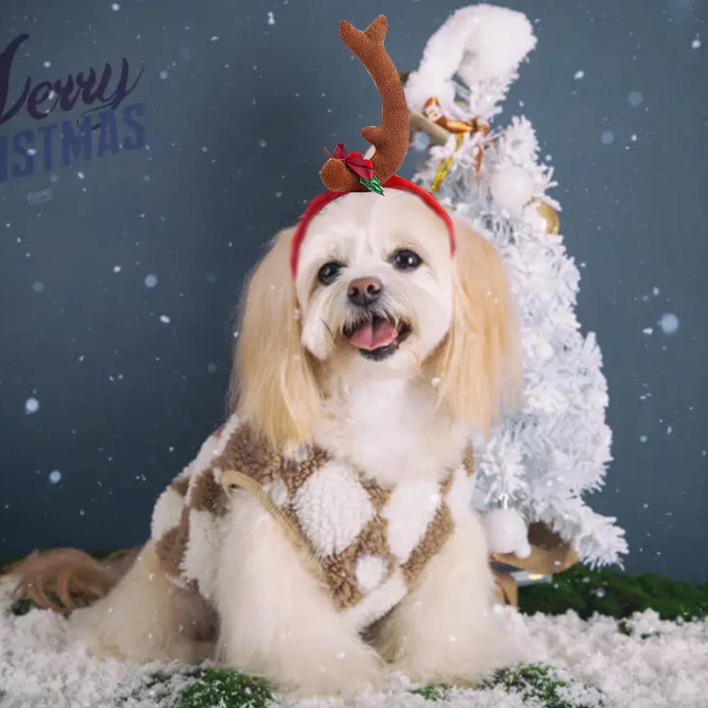 ANIAC dog antlers headband worn on dog for holiday wear