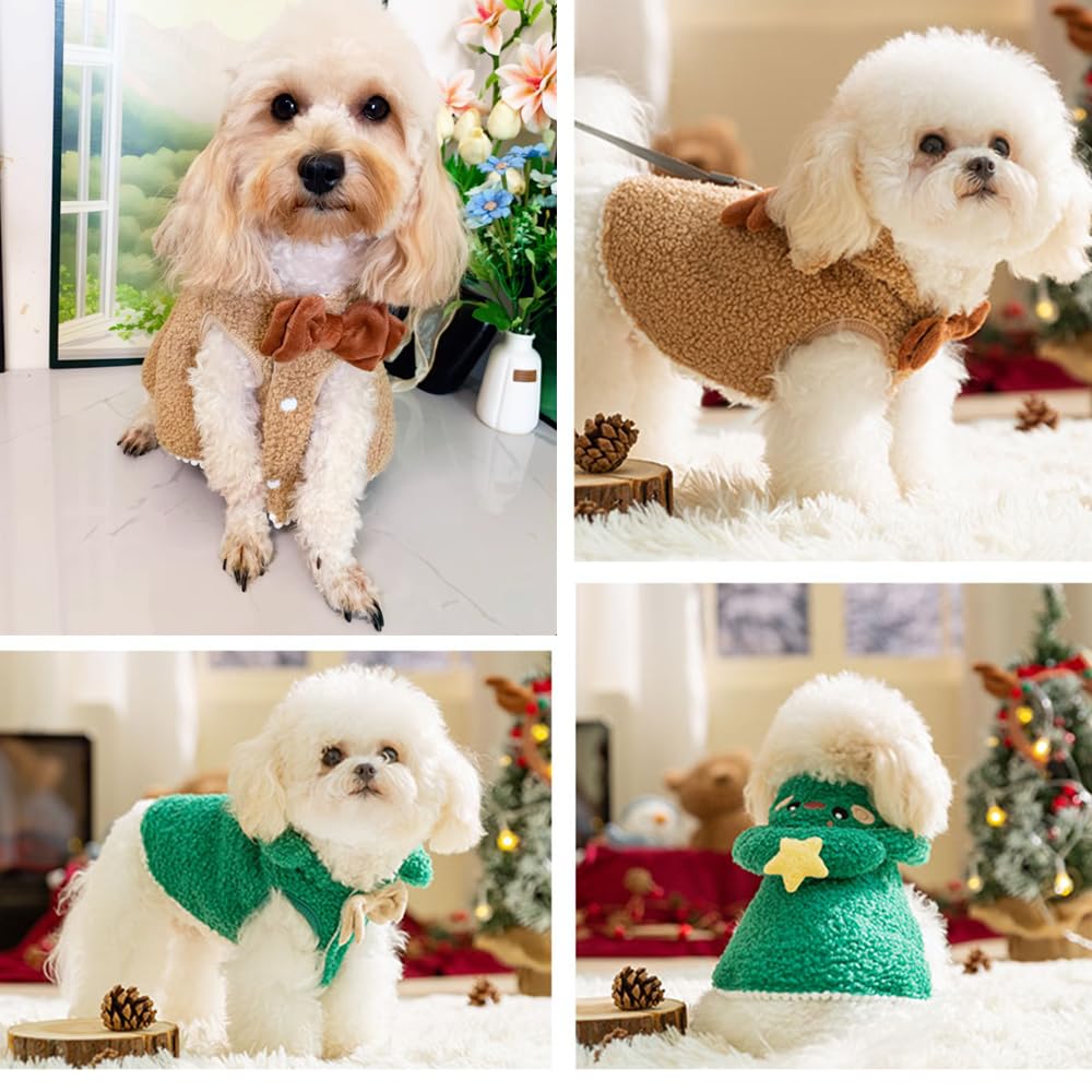 ANIAC dog Christmas cape worn outdoors with a D-ring leash