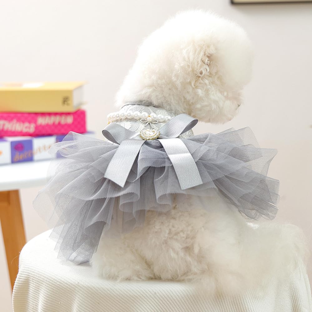 ANIAC gray dog dress worn for daily, comfortable outings.