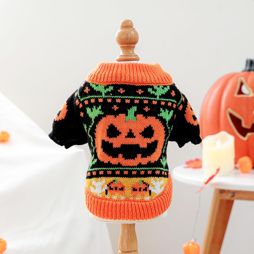 ANIAC Halloween outfit on pet during trick-or-treating and party photos.