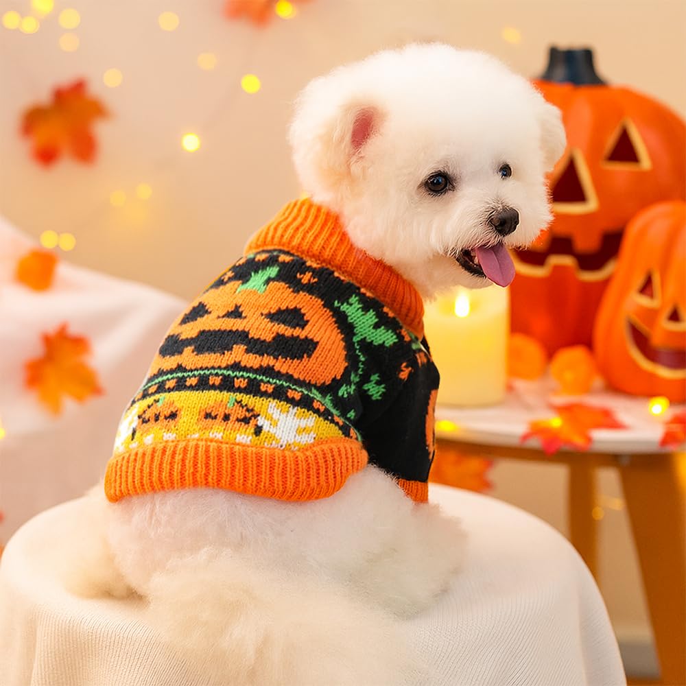 ANIAC pumpkin-pattern knitwear ready for cute autumn photo ops.