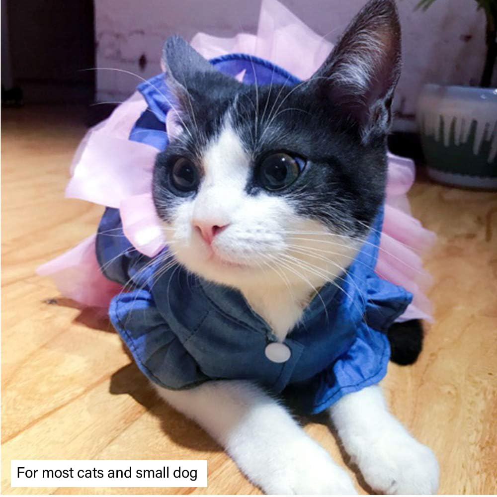 ANIAC denim jacket-style dress with ruffle for a cute party look