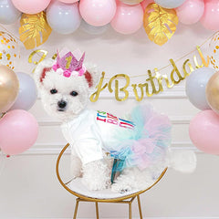 ANIAC puppy lace tutu pink for adorable photo moments