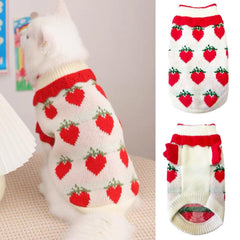 ANIAC red strawberry pattern on small dog sweater enhances visibility and style.