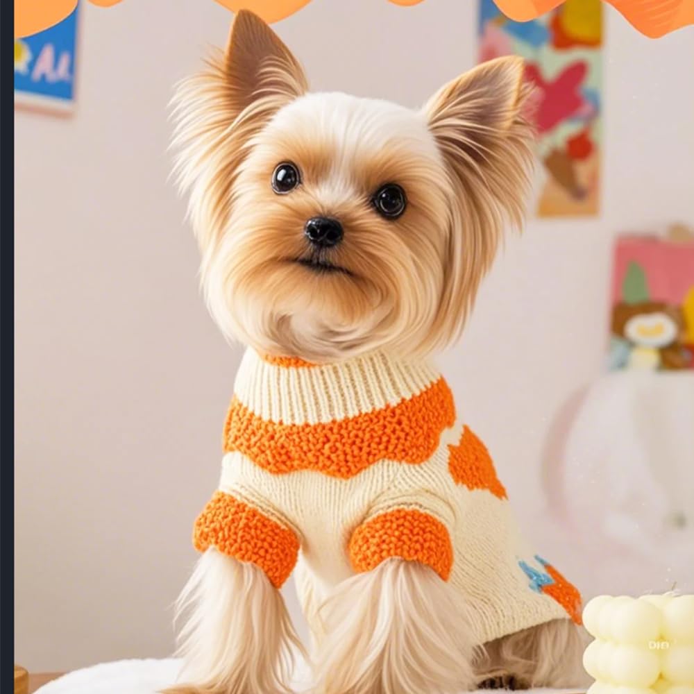 Sudadera ANIAC para perro naranja con patrón de fresa, ideal para salidas diarias.