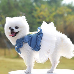 ANIAC white lace tutu close-up showing elegant detailing for photos