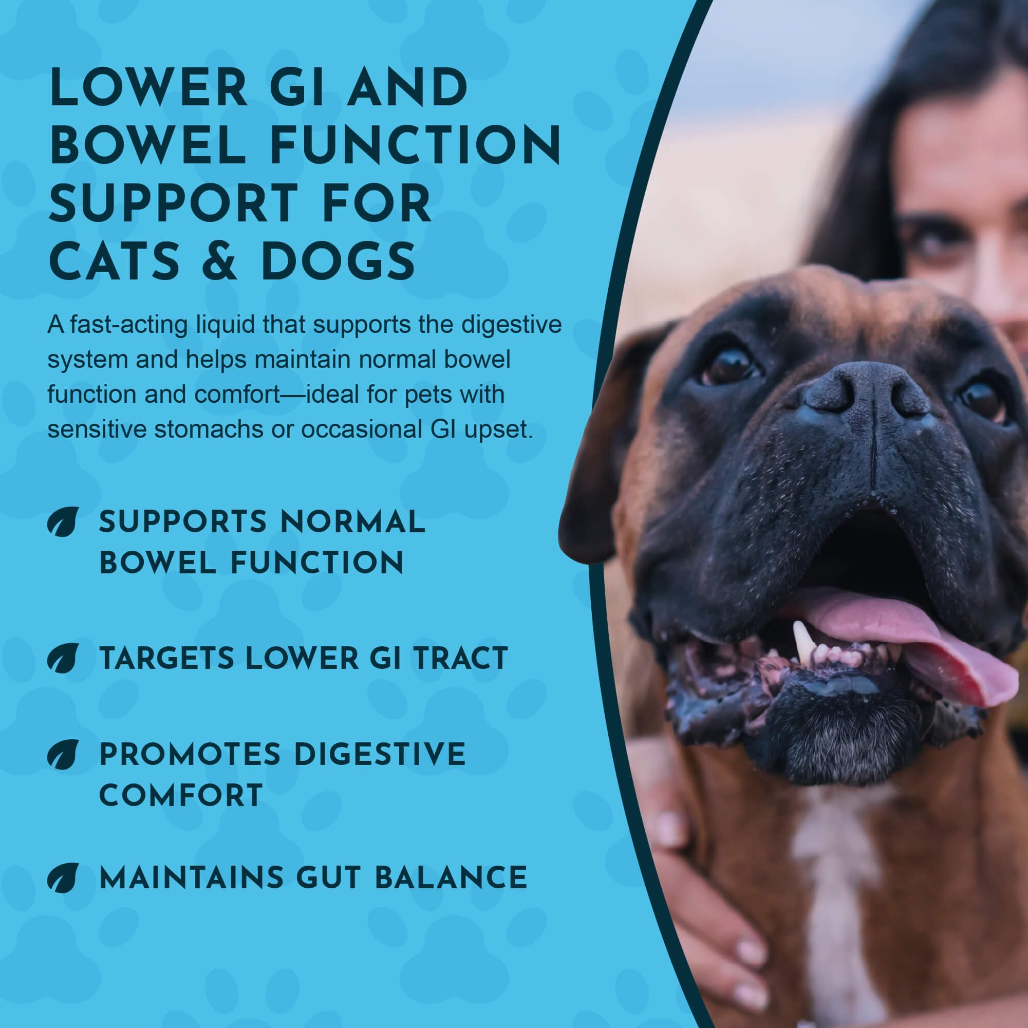 Animal Essentials Colon Rescue dog scene illustrating gentle digestive support.