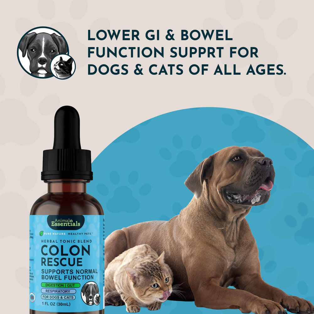 Animal Essentials Colon Rescue dosing syringe showing precise application.