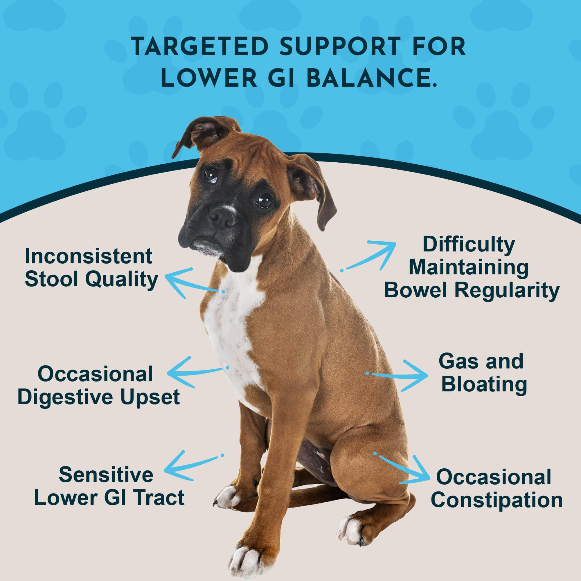 Animal Essentials Colon Rescue dropper for precise at-home dosing.