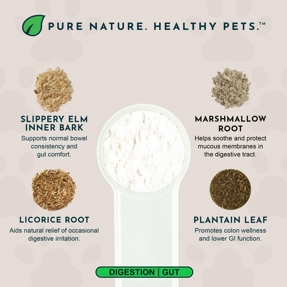 Animal Essentials Colon Rescue herbal blend ingredients like marshmallow root and slippery elm for GI comfort