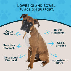 Animal Essentials Colon Rescue Powder scoop demonstrates easy dosing for pet digestion support
