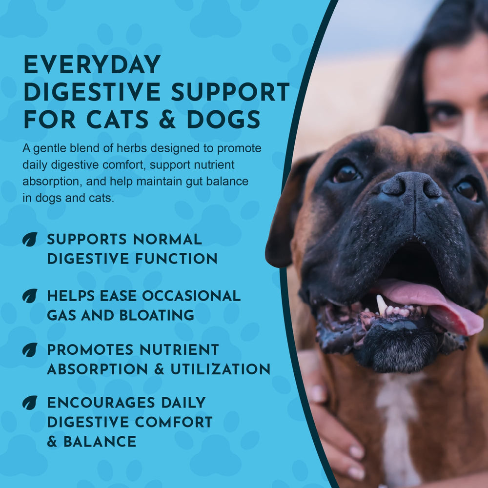 Animal Essentials daily-digestion-dogs-cats-liquid-supplement-appetite suggests help for finicky eaters.