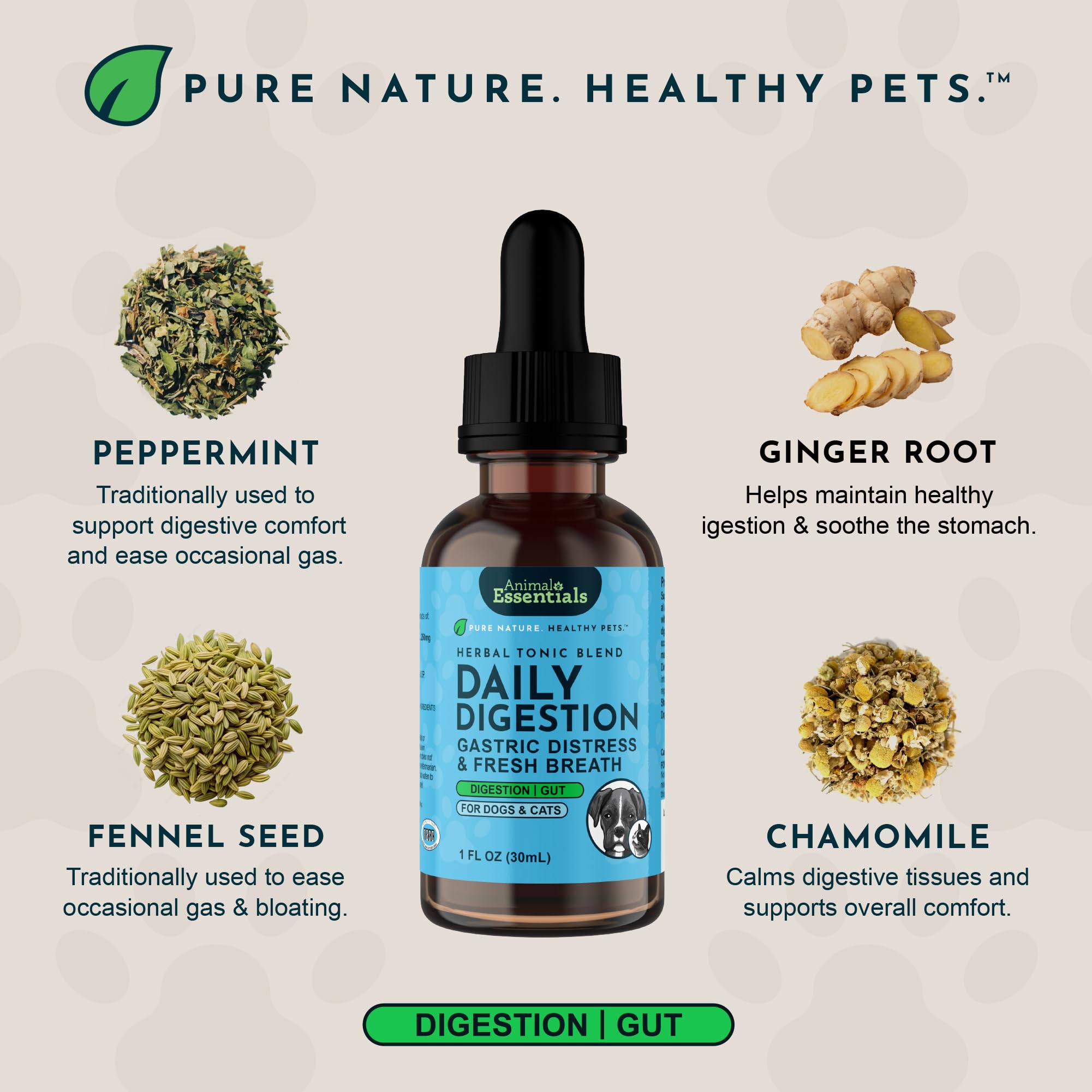 Animal Essentials daily-digestion-dogs-cats-liquid-supplement-fennel-seed captures plant-based digestive support.