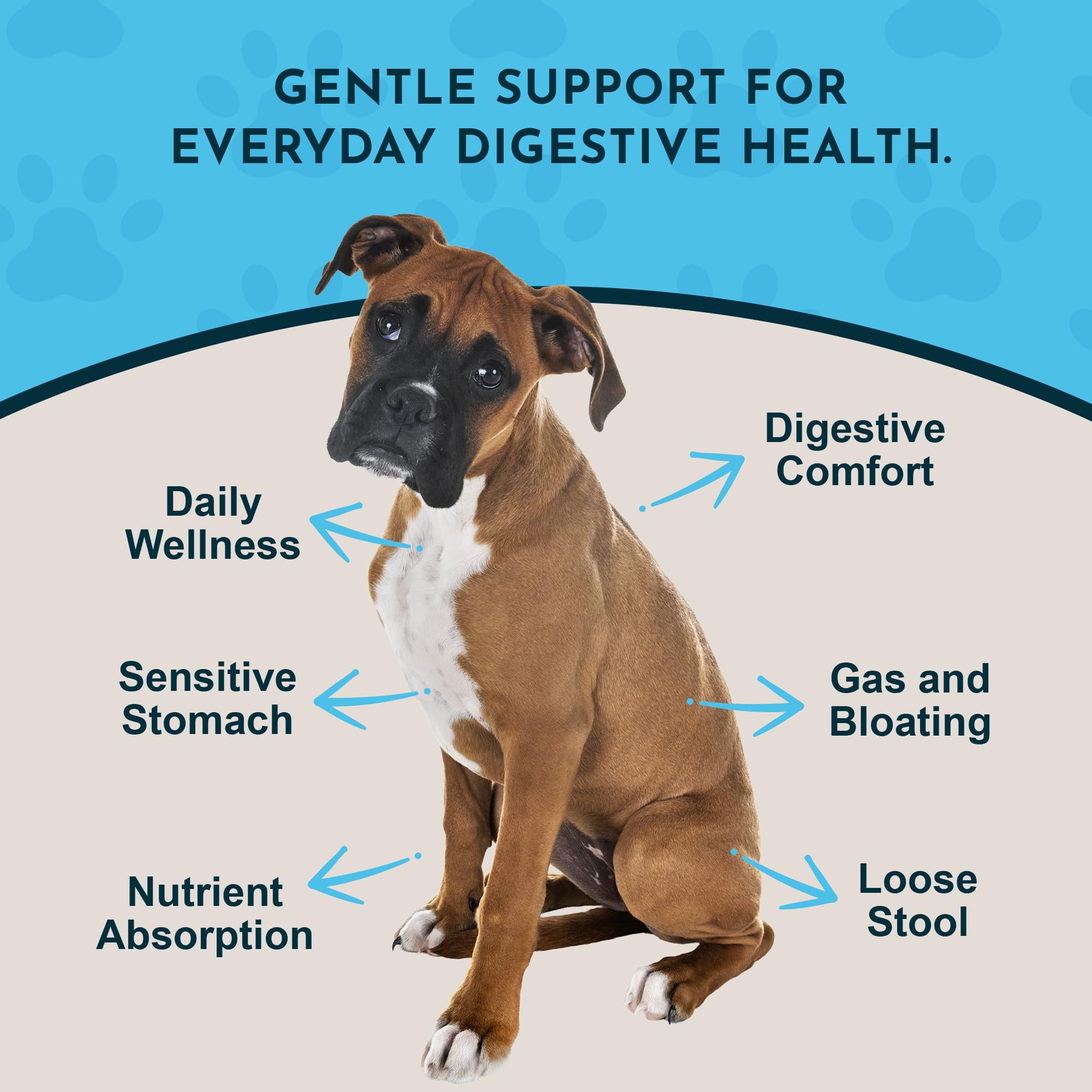 Animal Essentials daily-digestion-dogs-cats-liquid-supplement-ginger-root highlights natural ginger content.